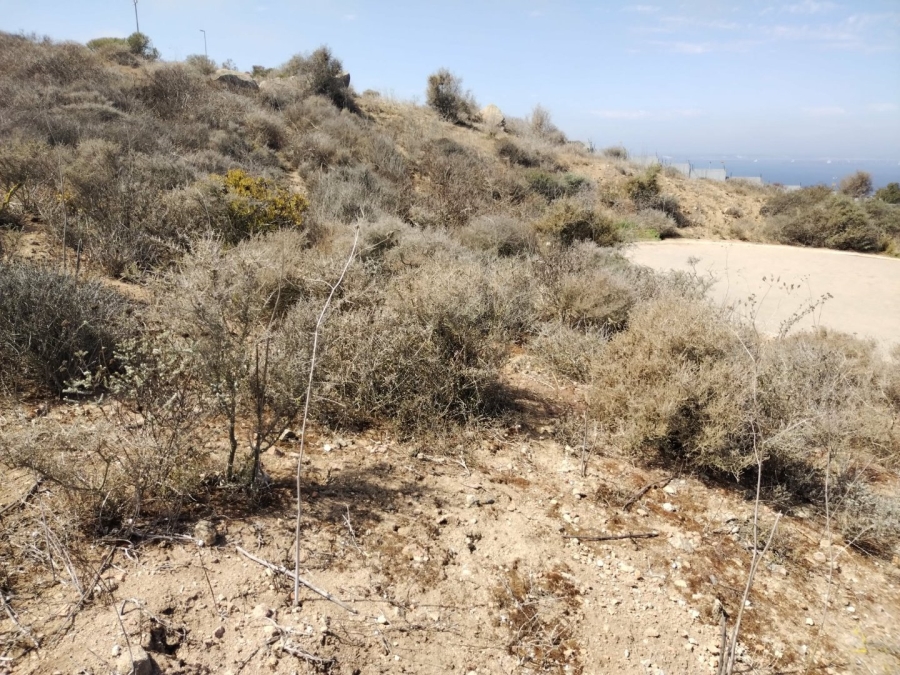 Commercial Property for Sale in Hoogland Western Cape